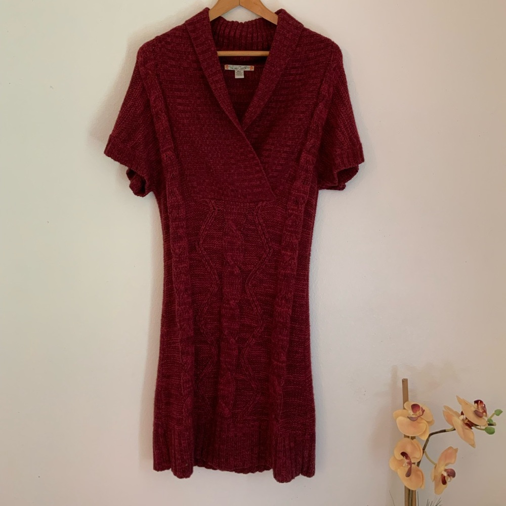 Maroon Sweater Dress